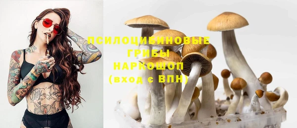 дмт Аркадак
