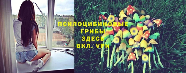 скорость Арсеньев