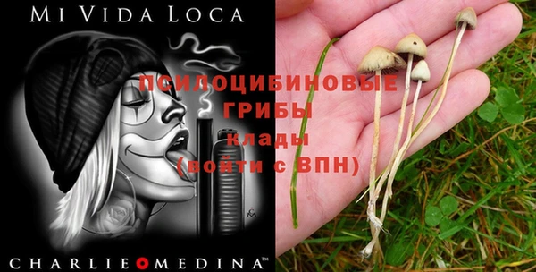 MESCALINE Зеленокумск