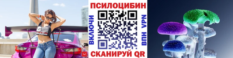 Псилоцибиновые грибы Cubensis  Белокуриха 